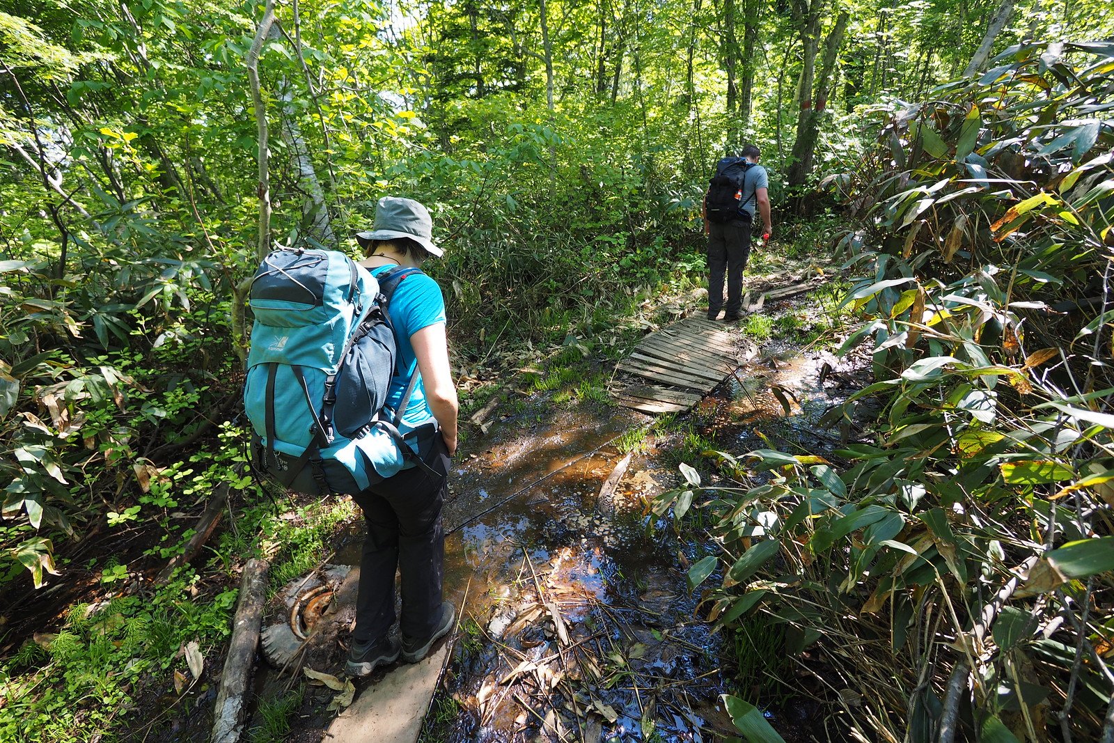🏞️ 히라오카야마 전망대(히라오카야마 텐보다이) 이미지 6